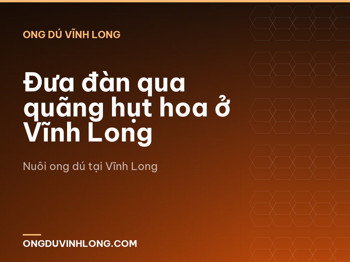 Đưa đàn qua quãng hụt hoa ở Vĩnh Long