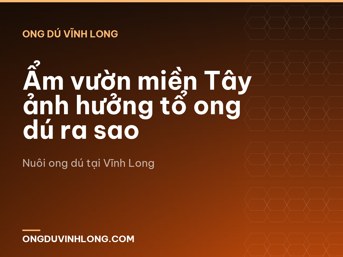Ẩm vườn miền Tây ảnh hưởng tổ ong dú ra sao