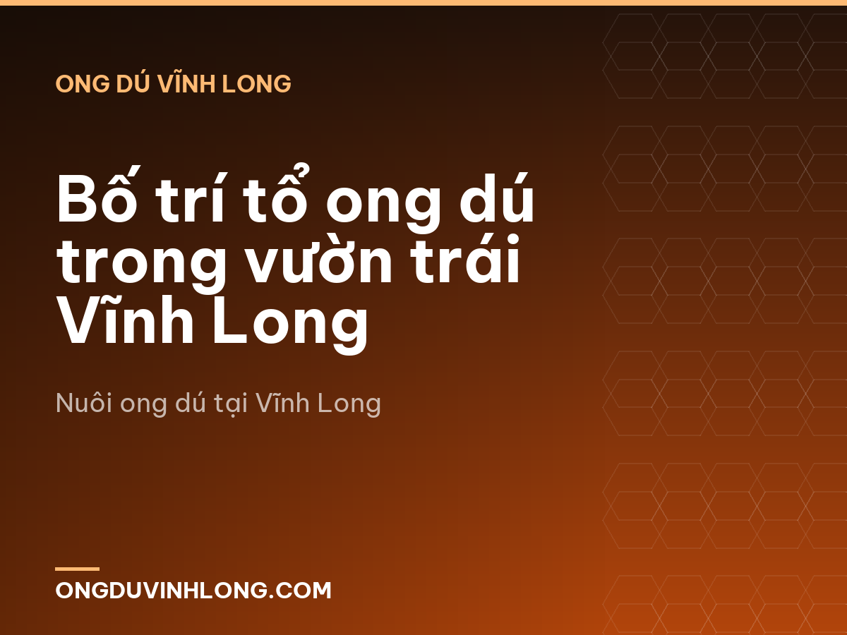 Bố trí tổ ong dú trong vườn trái Vĩnh Long