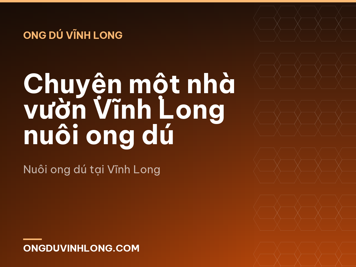 Chuyện một nhà vườn Vĩnh Long nuôi ong dú