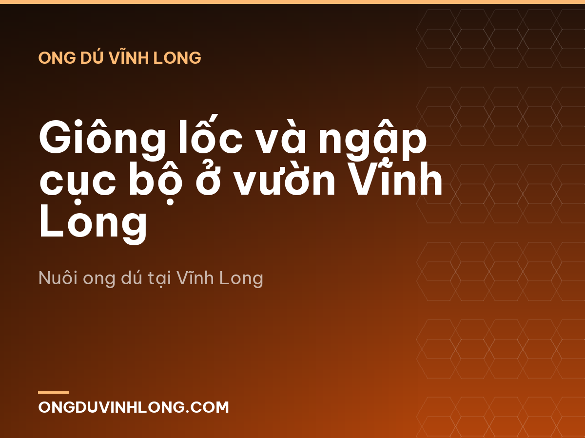 Giông lốc và ngập cục bộ ở vườn Vĩnh Long