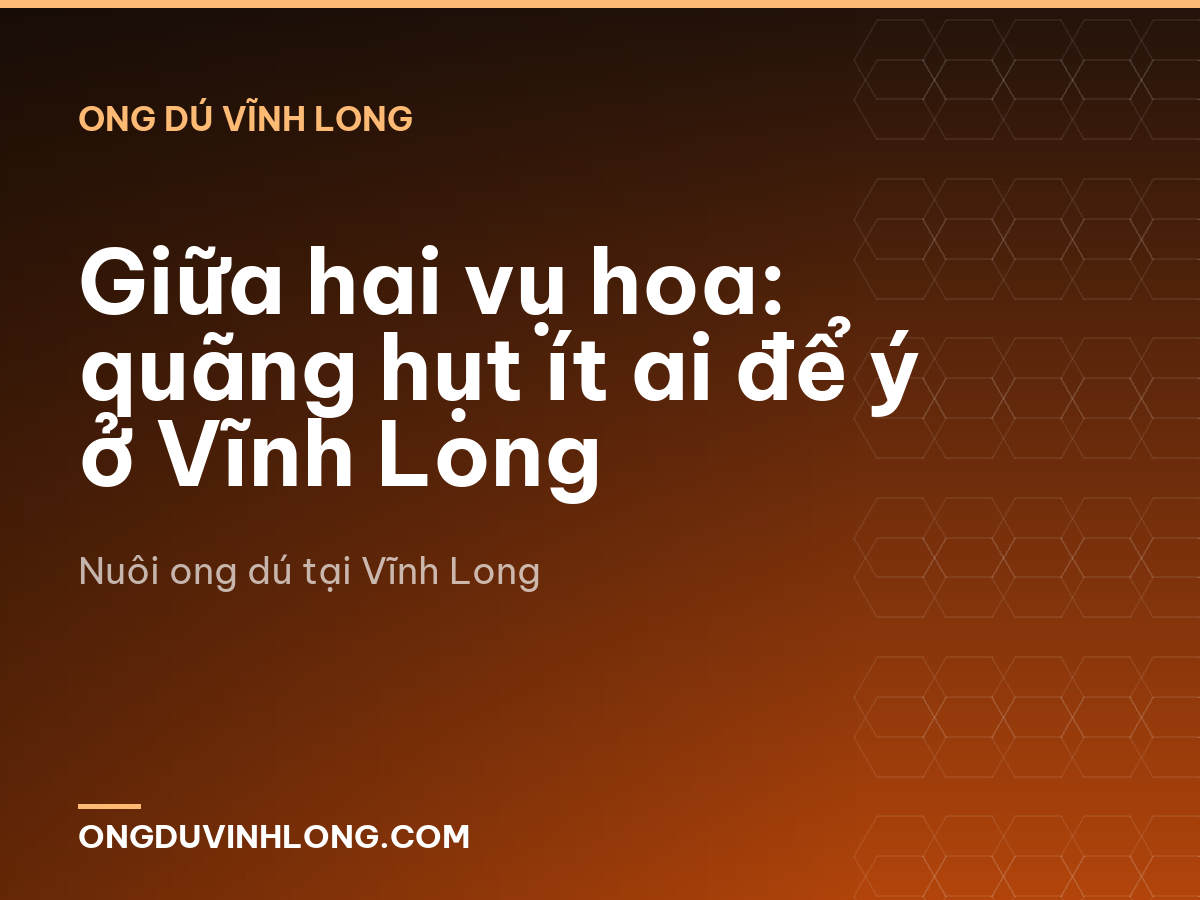 Giữa hai vụ hoa: quãng hụt ít ai để ý ở Vĩnh Long