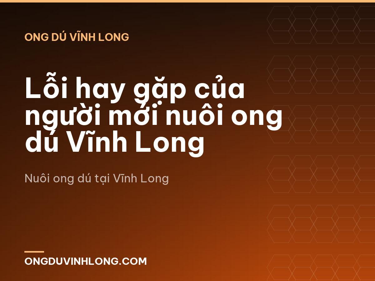 Lỗi hay gặp của người mới nuôi ong dú Vĩnh Long