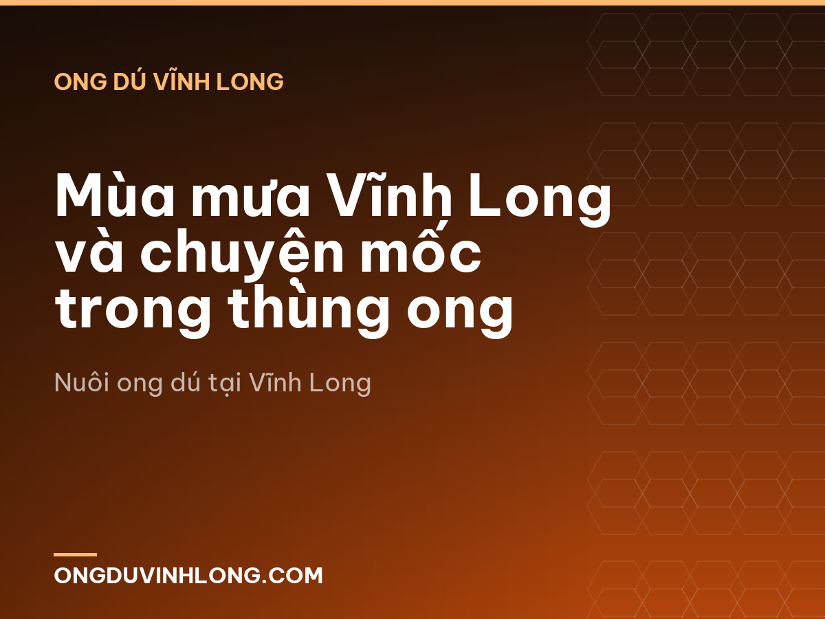Mùa mưa Vĩnh Long và chuyện mốc trong thùng ong