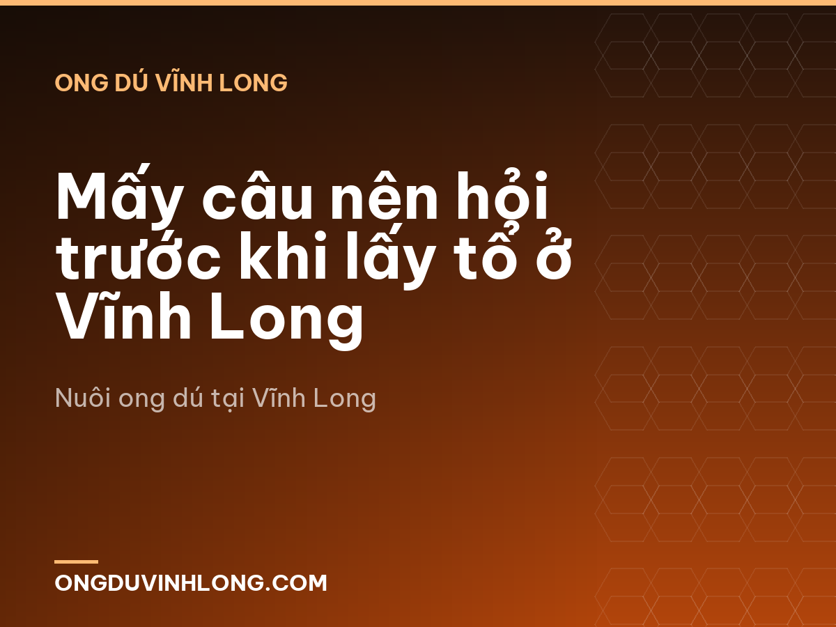 Mấy câu nên hỏi trước khi lấy tổ ở Vĩnh Long