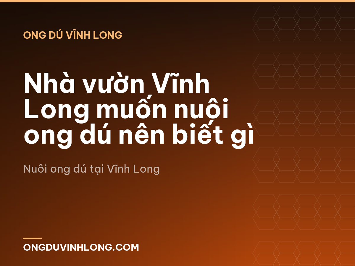 Nhà vườn Vĩnh Long muốn nuôi ong dú nên biết gì