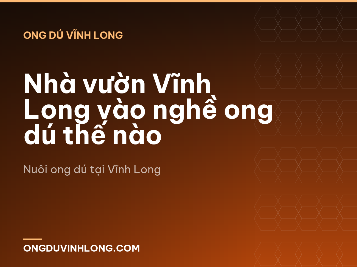 Nhà vườn Vĩnh Long vào nghề ong dú thế nào
