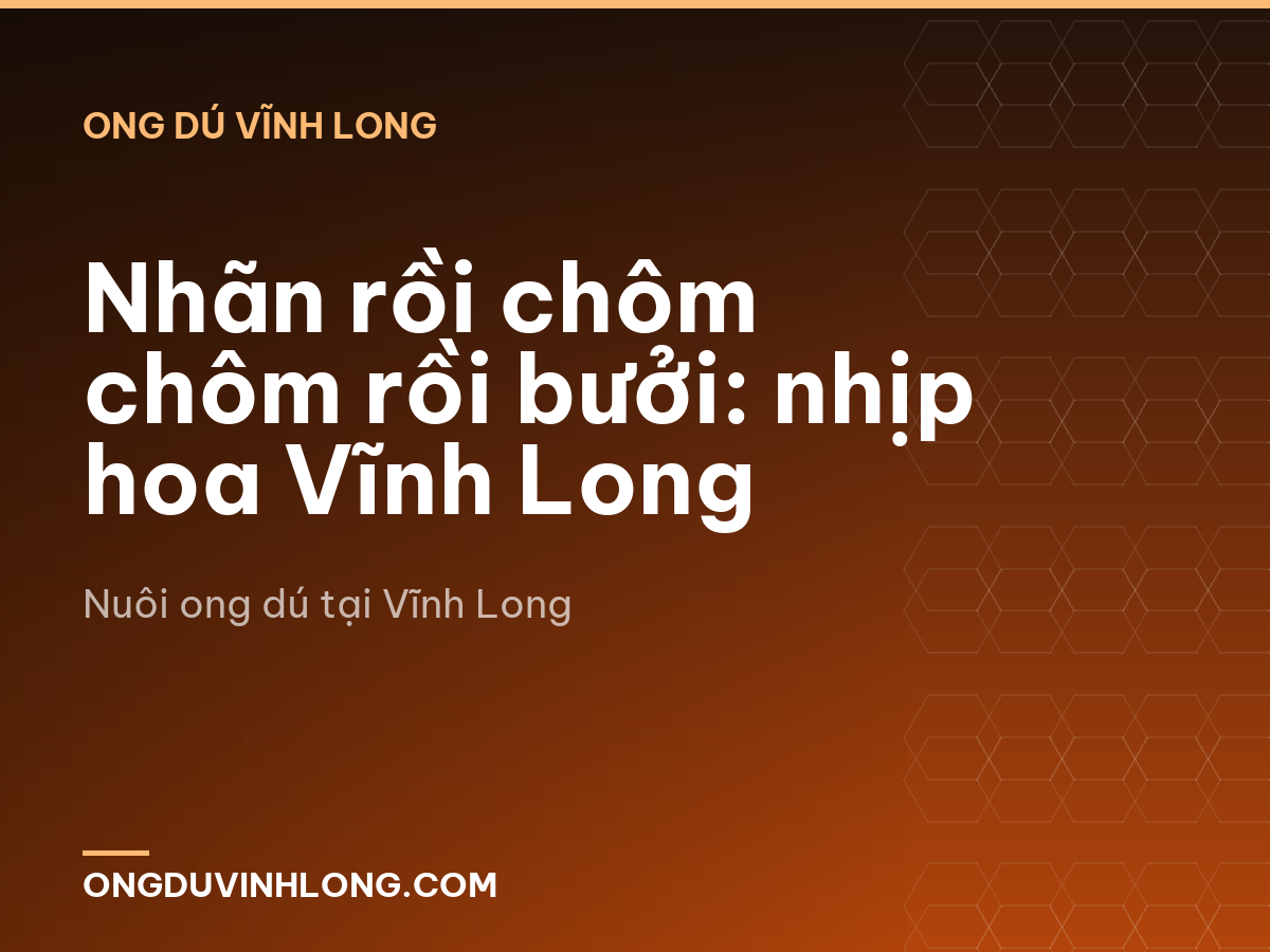 Nhãn rồi chôm chôm rồi bưởi: nhịp hoa Vĩnh Long