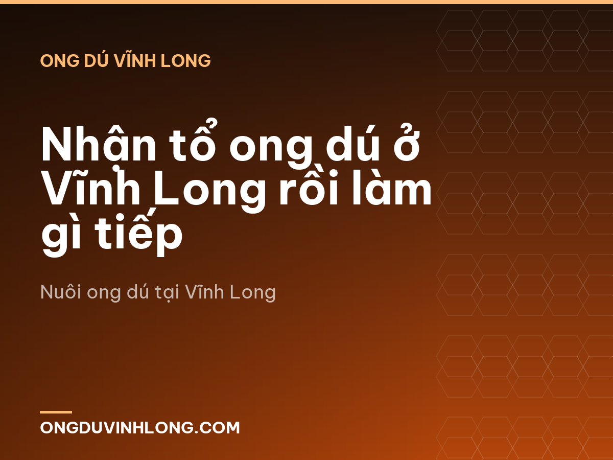 Nhận tổ ong dú ở Vĩnh Long rồi làm gì tiếp