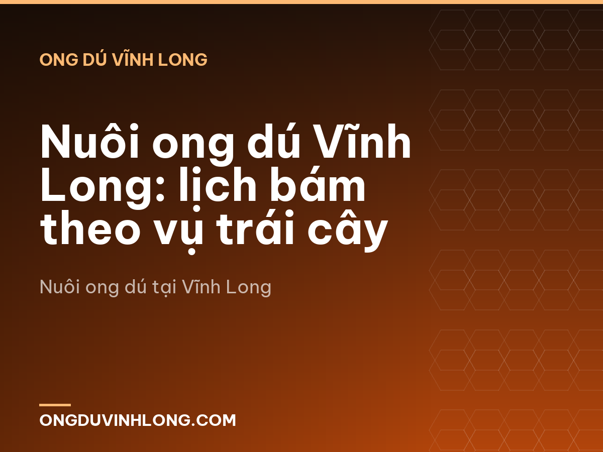 Nuôi ong dú Vĩnh Long: lịch bám theo vụ trái cây