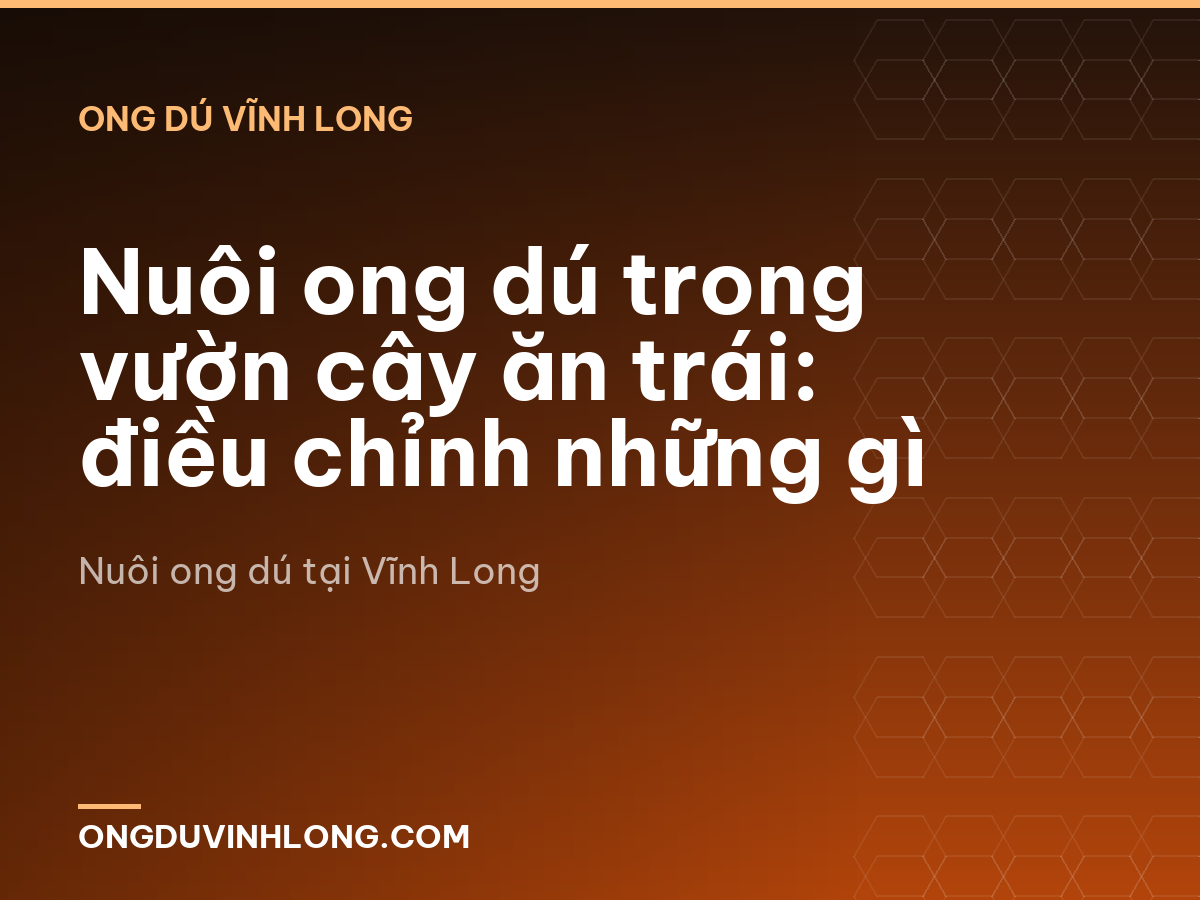 Nuôi ong dú trong vườn cây ăn trái: điều chỉnh những gì