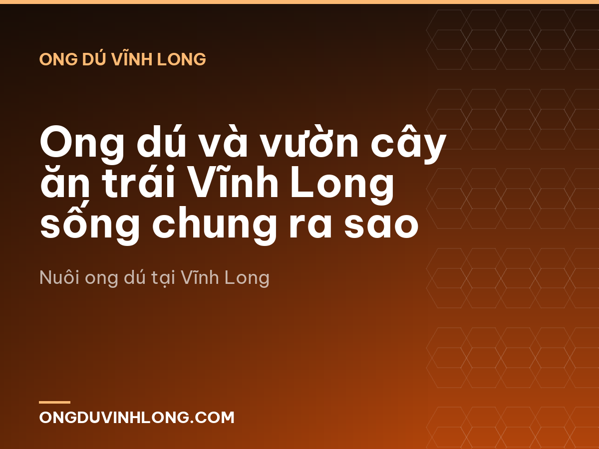 Ong dú và vườn cây ăn trái Vĩnh Long sống chung ra sao
