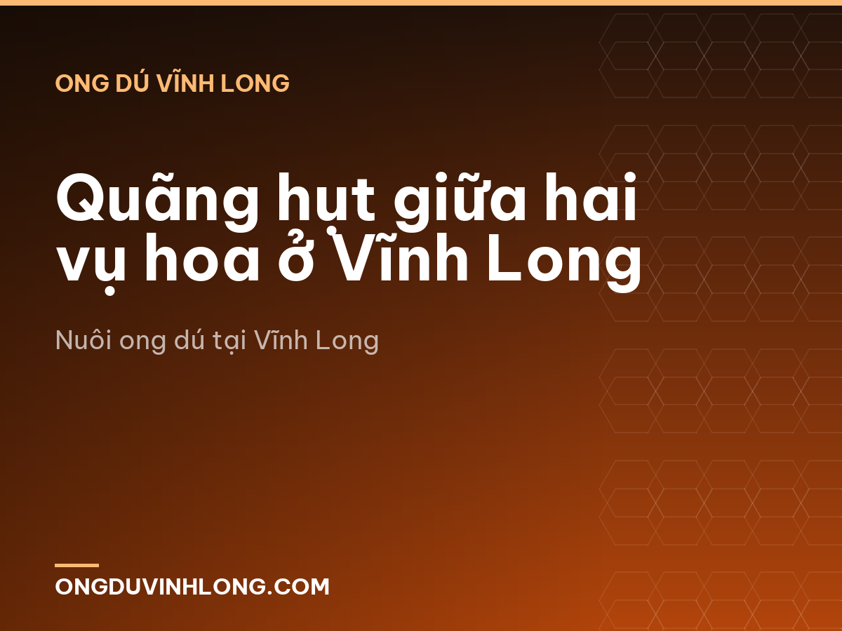 Quãng hụt giữa hai vụ hoa ở Vĩnh Long