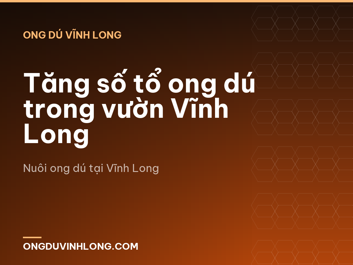 Tăng số tổ ong dú trong vườn Vĩnh Long