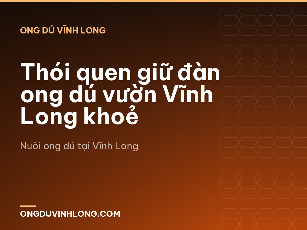 Thói quen giữ đàn ong dú vườn Vĩnh Long khoẻ