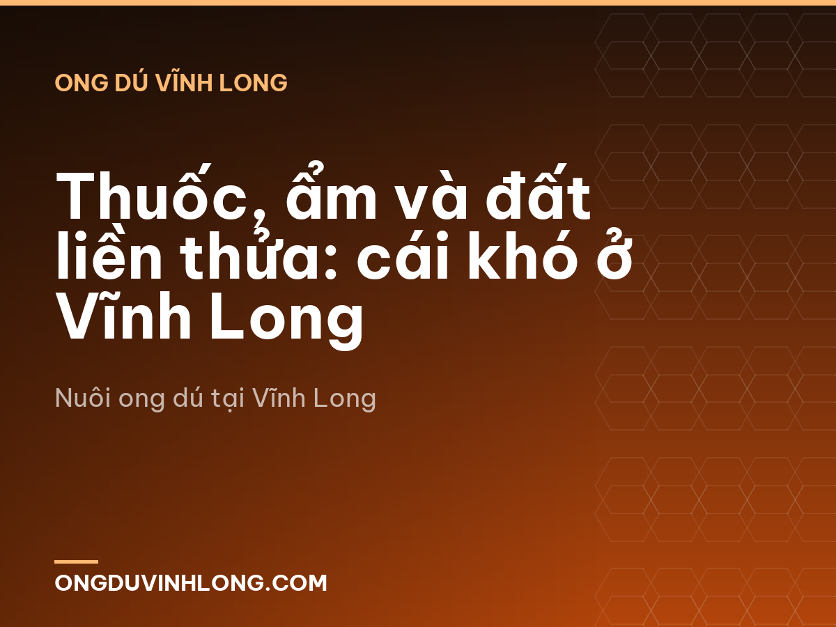 Thuốc, ẩm và đất liền thửa: cái khó ở Vĩnh Long