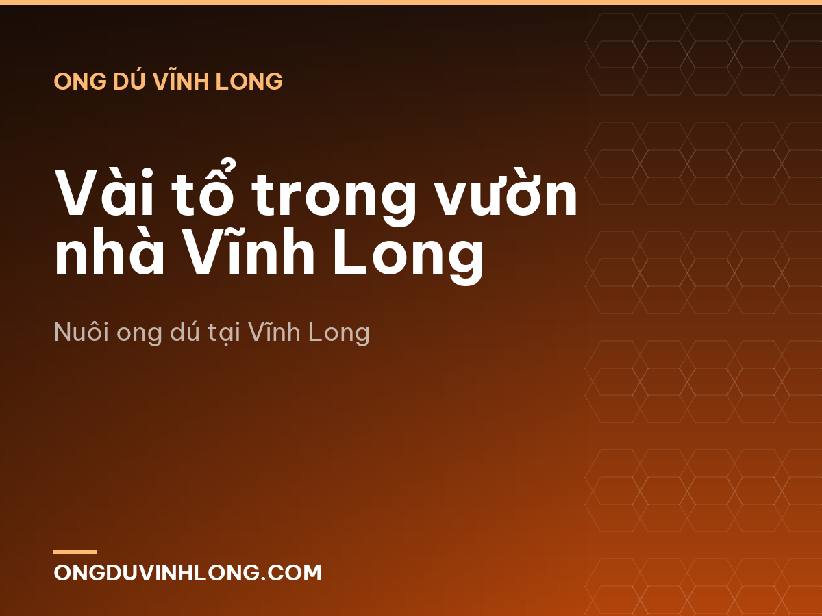 Vài tổ trong vườn nhà Vĩnh Long