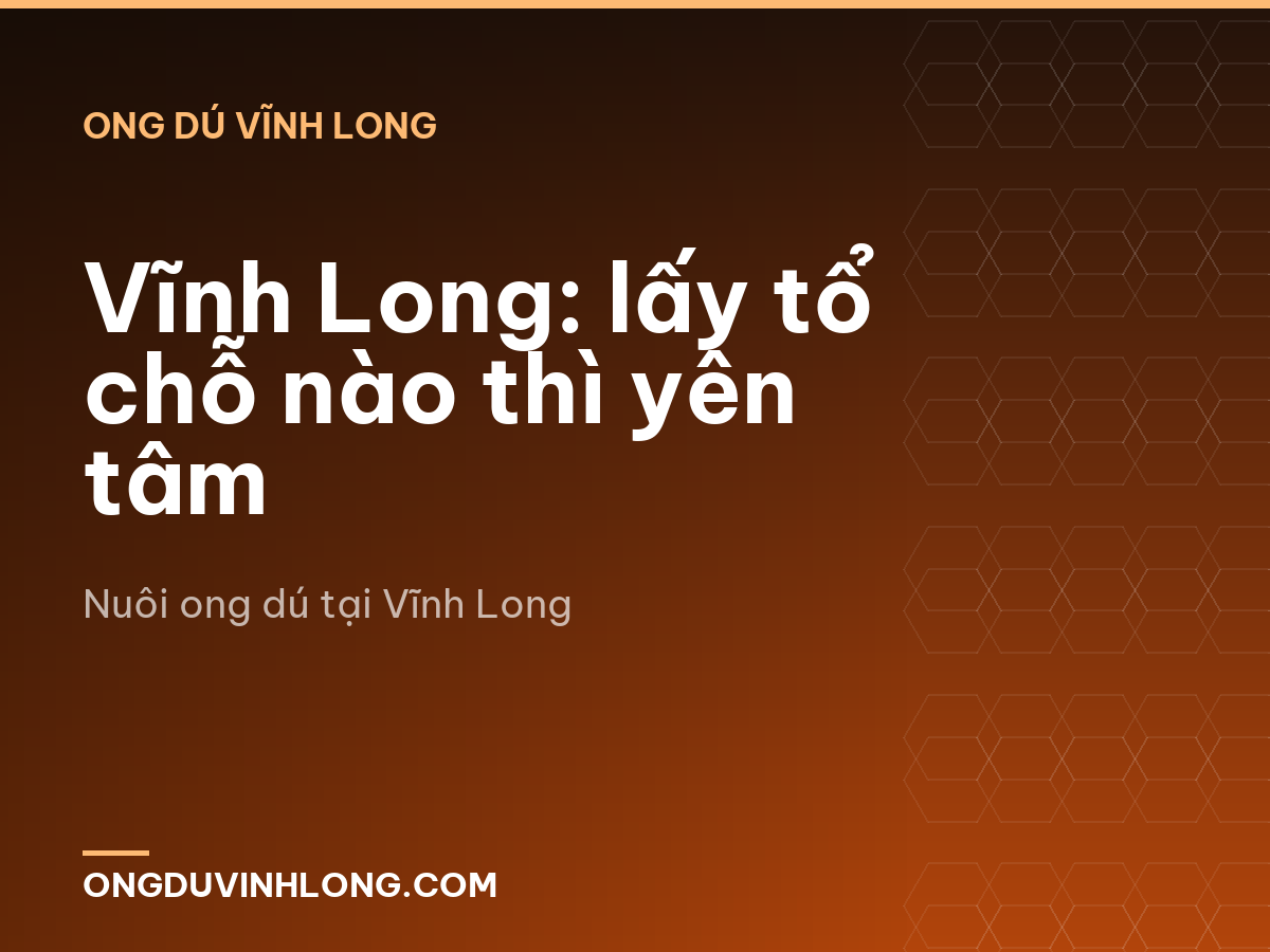 Vĩnh Long: lấy tổ chỗ nào thì yên tâm