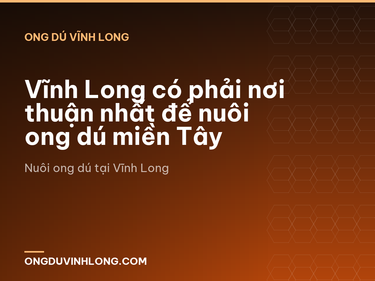 Vĩnh Long có phải nơi thuận nhất để nuôi ong dú miền Tây