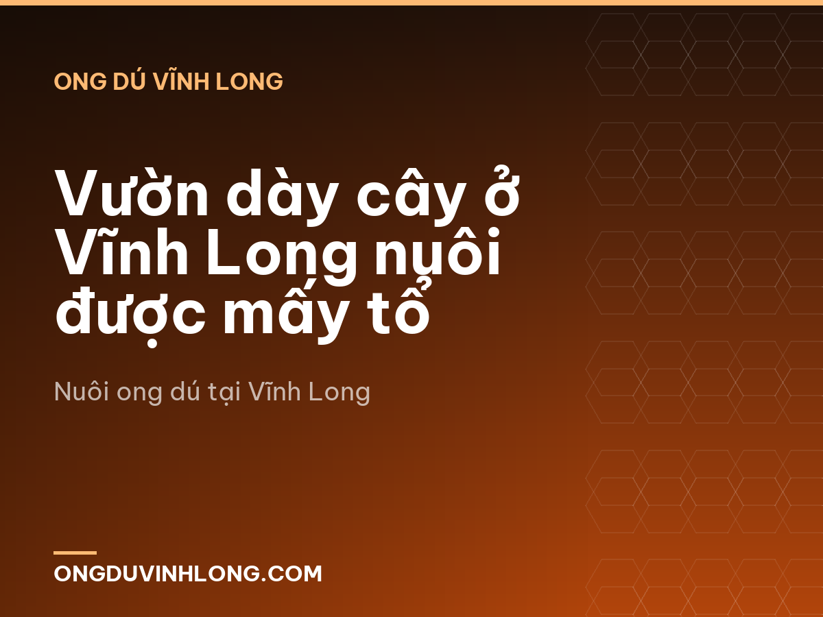 Vườn dày cây ở Vĩnh Long nuôi được mấy tổ