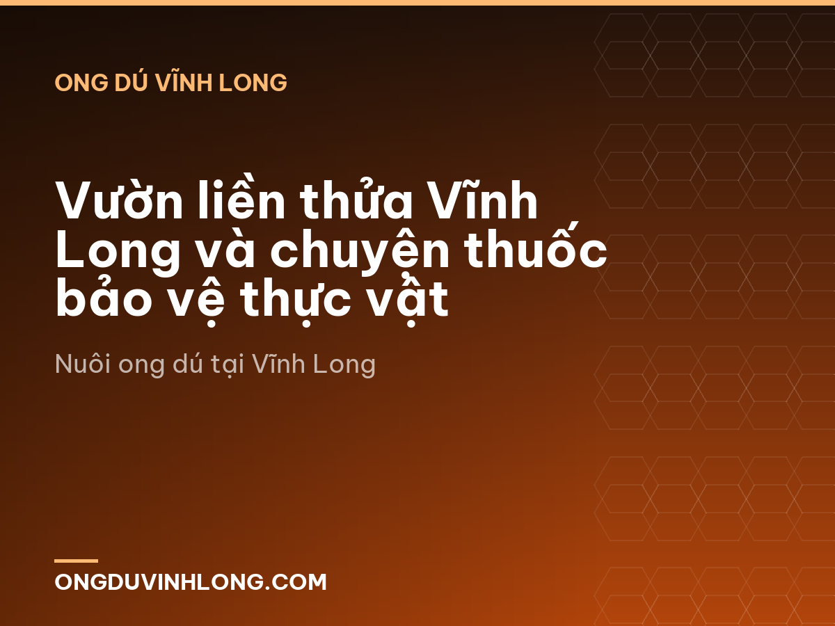 Vườn liền thửa Vĩnh Long và chuyện thuốc bảo vệ thực vật