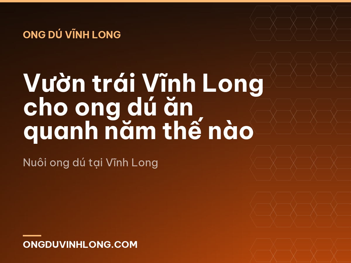 Vườn trái Vĩnh Long cho ong dú ăn quanh năm thế nào