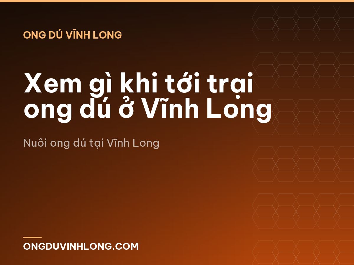 Xem gì khi tới trại ong dú ở Vĩnh Long